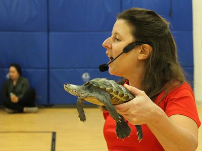 Handler holds up a different turtle