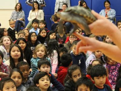 Handler shows turtle to students