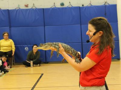 Handler shows students a small alligator