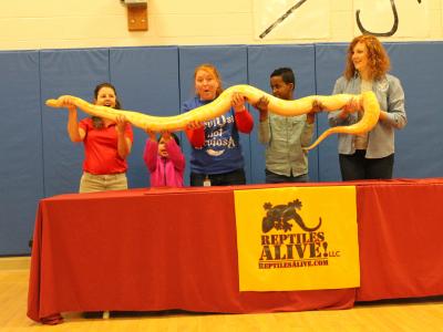 Handler, Librarian, Kinder teacher and two students lift python