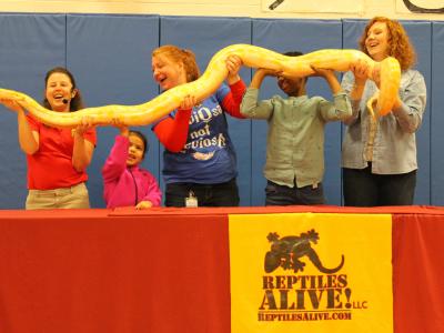 Handler, Librarian, Kinder teacher and two students lower python back to table