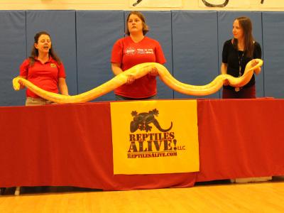 Handler, Grade 2 and Grade 1 teacher lift python