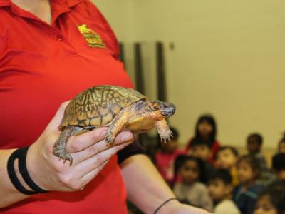 Students participating in Reptiles Alive assembly